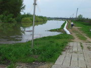 2006